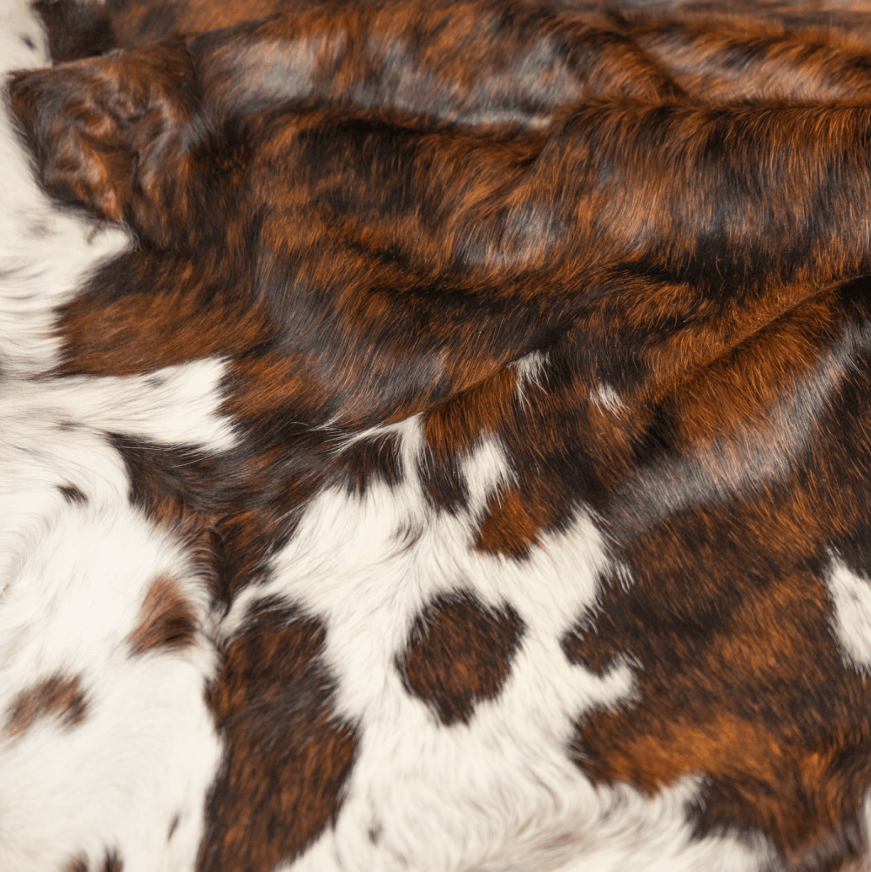 Tricolour Cowhide Rug