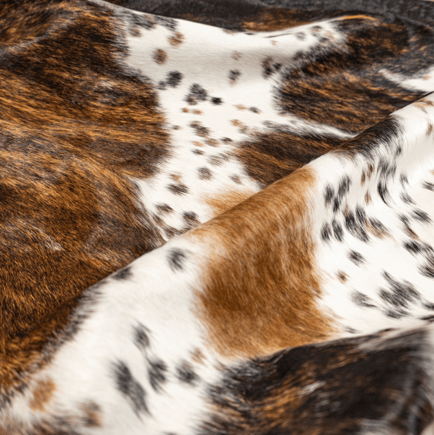 Tricolour Cowhide Rug