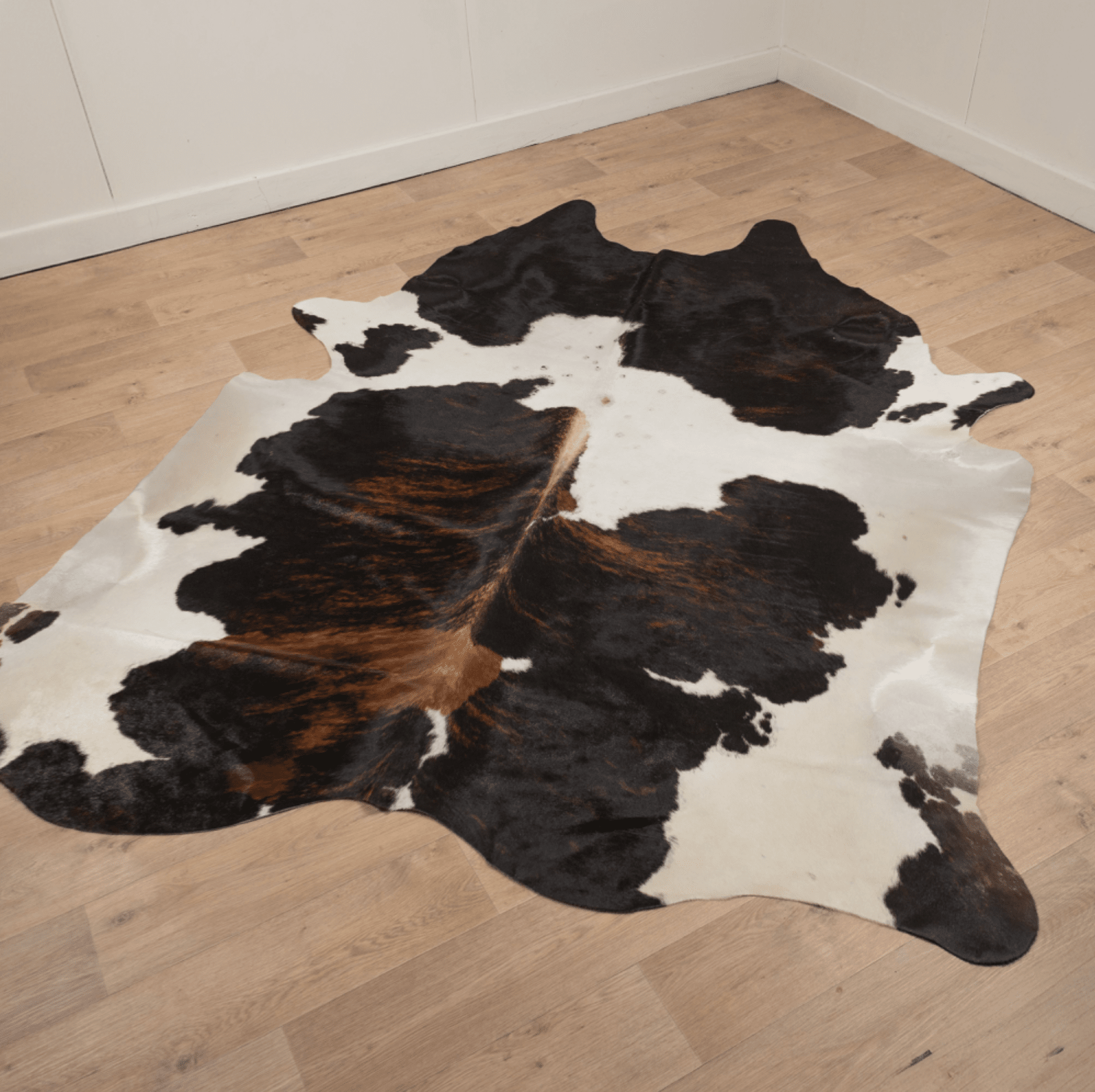 Tricolour Cowhide Rug