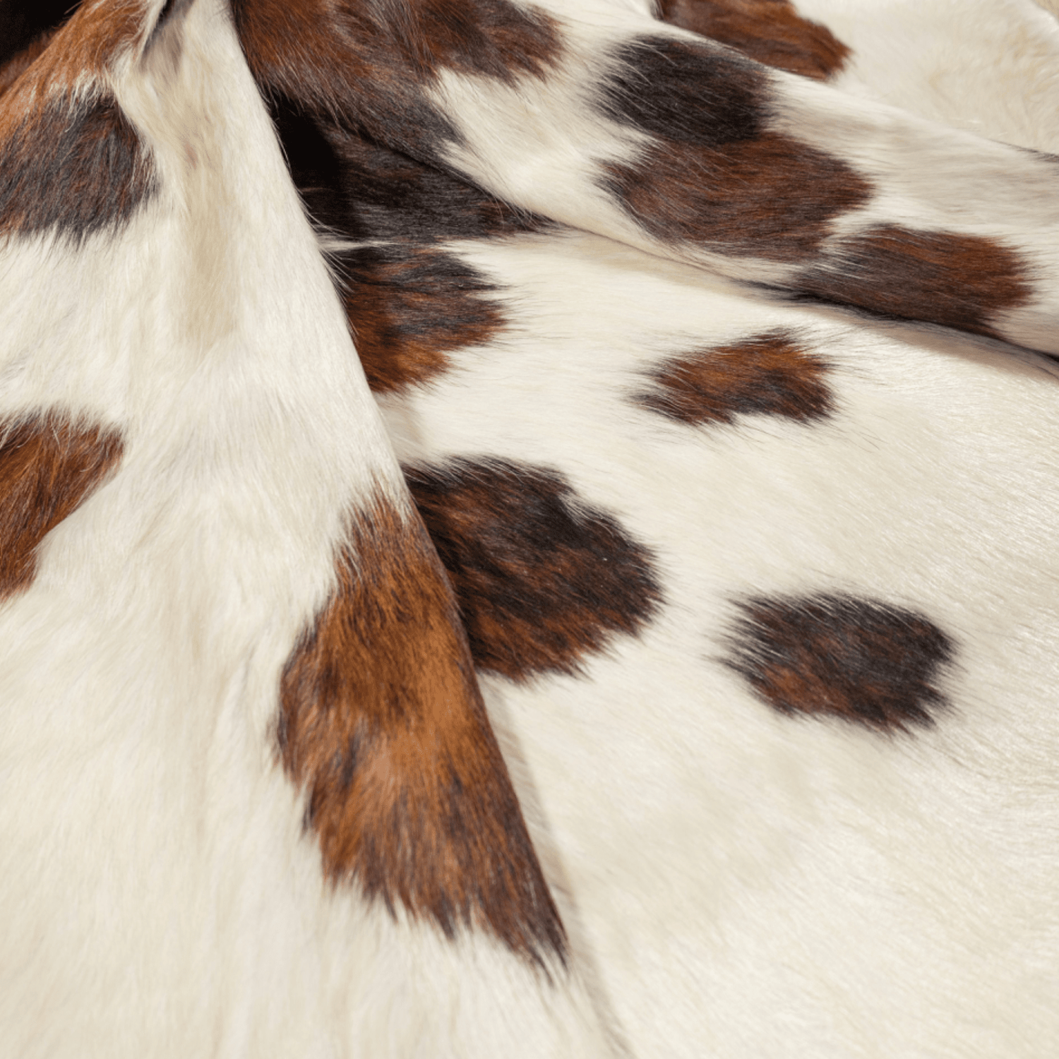 Tricolour Cowhide Rug