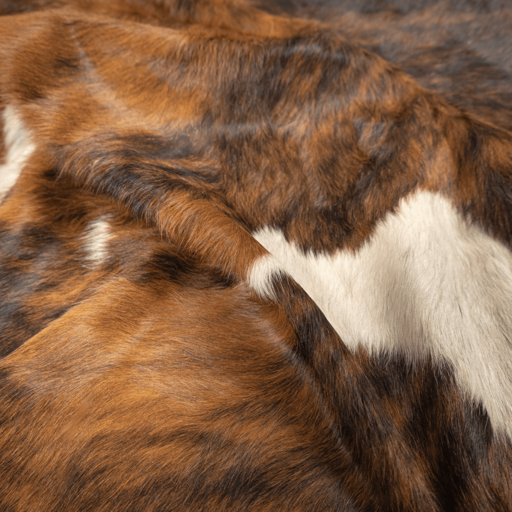 Tricolour Cowhide Rug