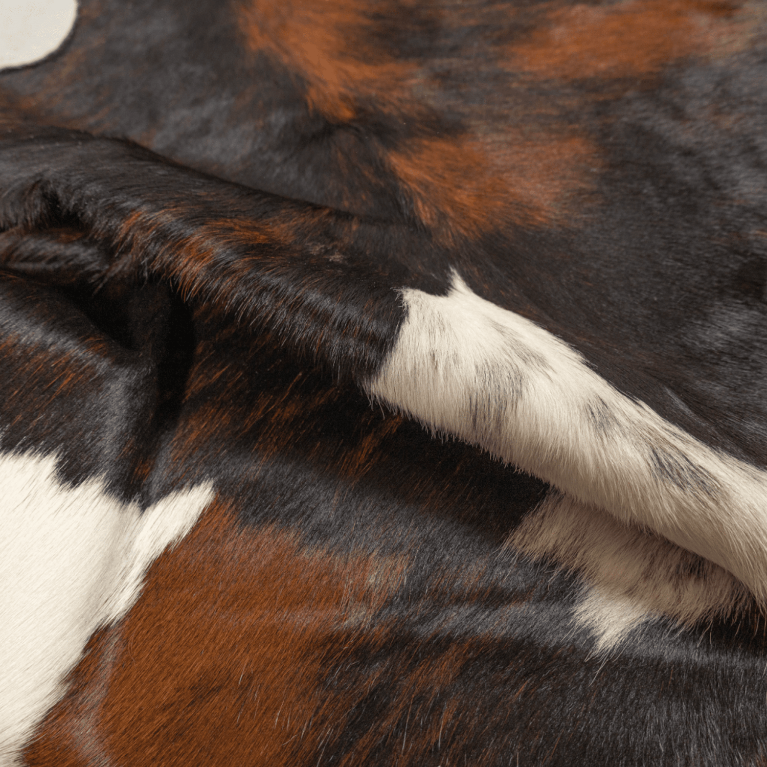 Tricolour Cowhide Rug