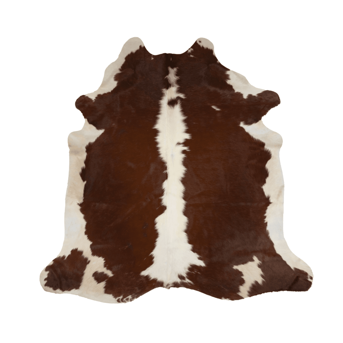 Brown &amp; White Cowhide Rug