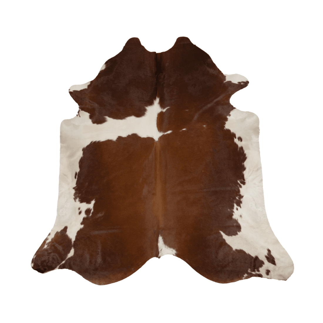 Brown &amp; White Cowhide Rug