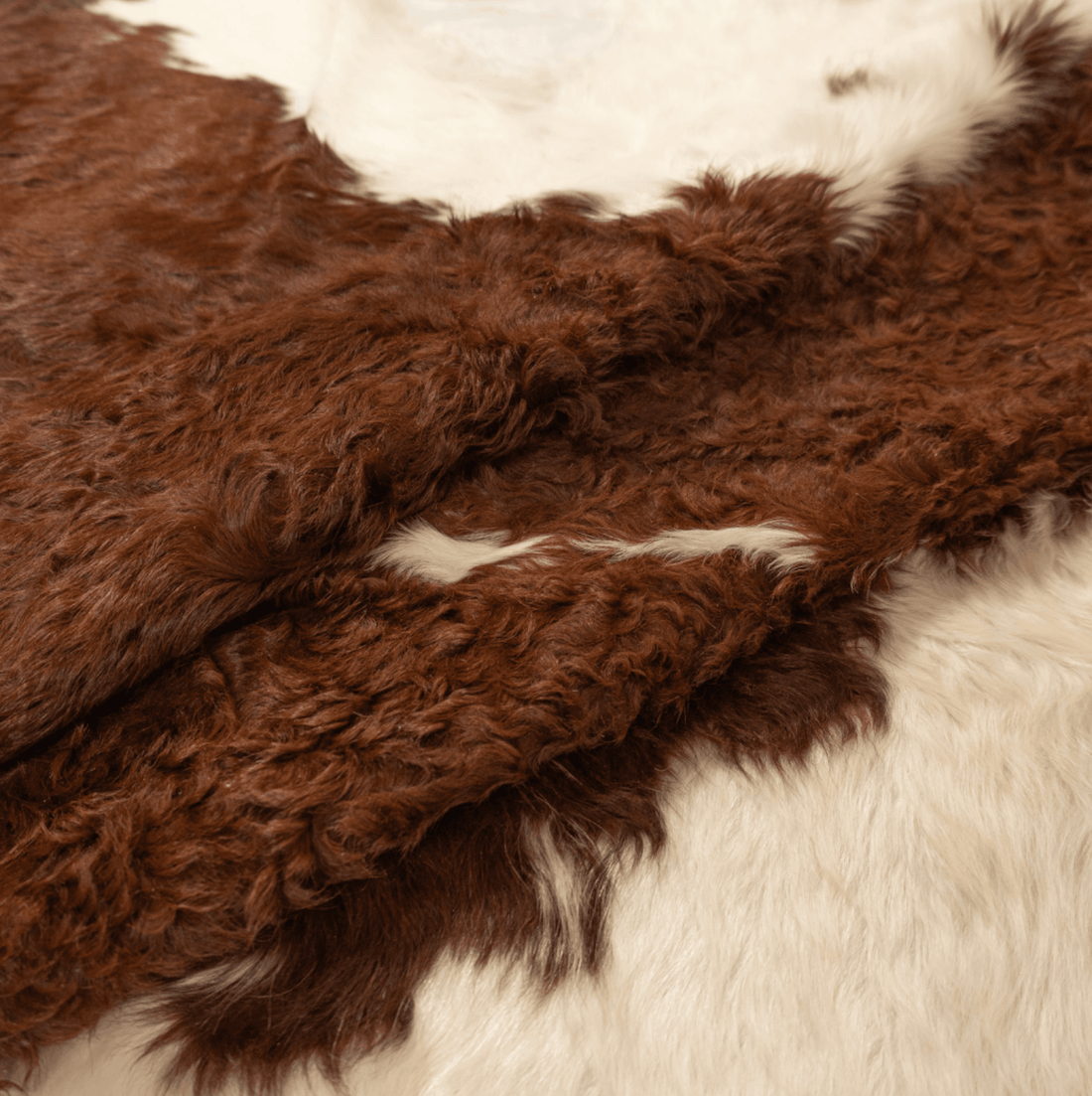 Brown &amp; White Cowhide Rug